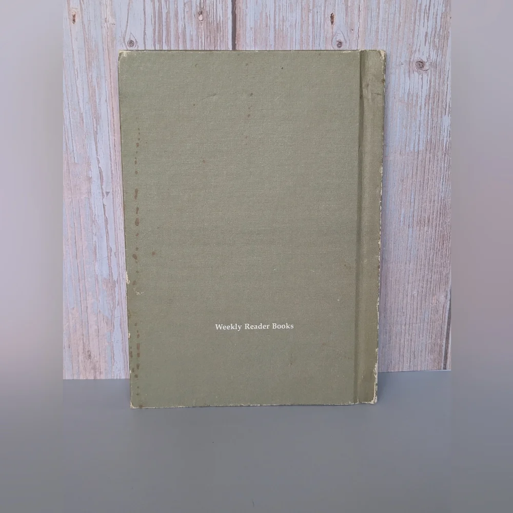 A Serendipity Book with Pink Dragon